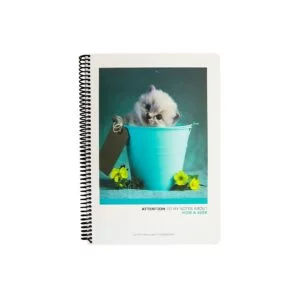Gipta Attention Spiral / Offset Pp Cover Notebook A4 100 Sheets Ruled