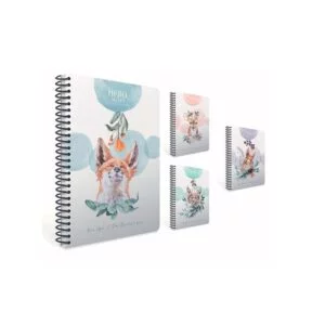 Gipta Hero Notes A4 80 Sheets Ruled 5337