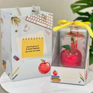 My Wonderful Teacher's Gift
