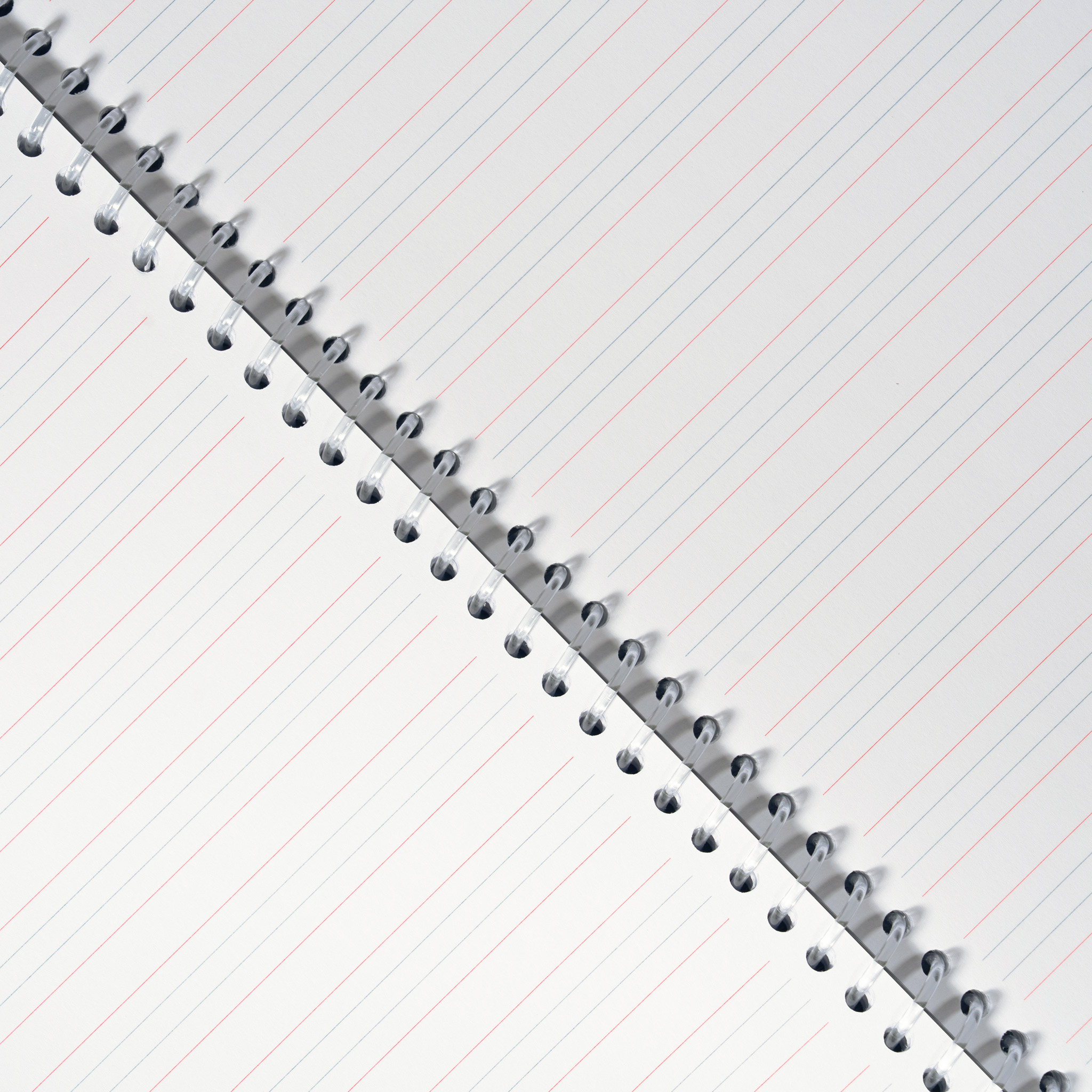 Panda Spiral Notebook A4 4 Line - 80 Sheets, 80 Gsm - Image 7