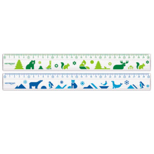 KEYROAD RULER 30CM BX24 KR972440